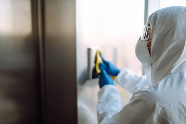 Best Mold Remediation Services  in Grenada, MS